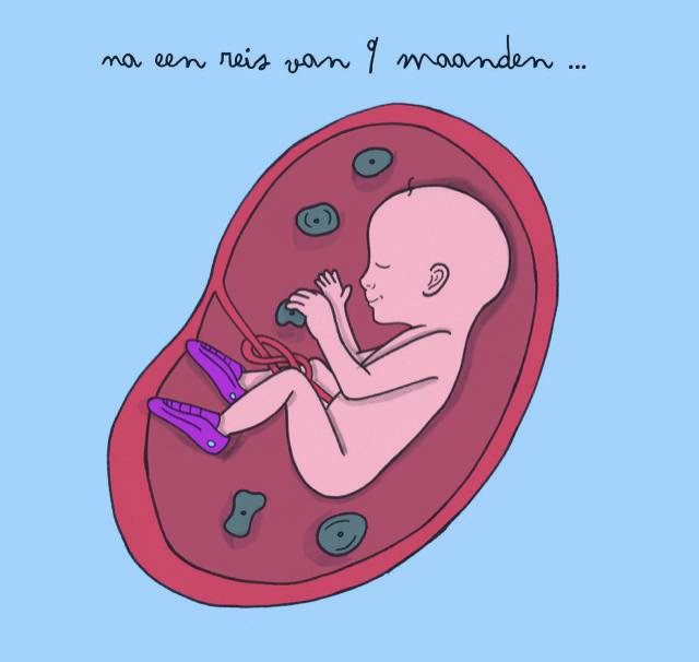 na een reis van 9 maanden ...